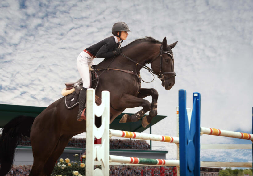 競馬新聞のおすすめは？初心者向けに選び方も紹介！コンビニで買える人気紙は？